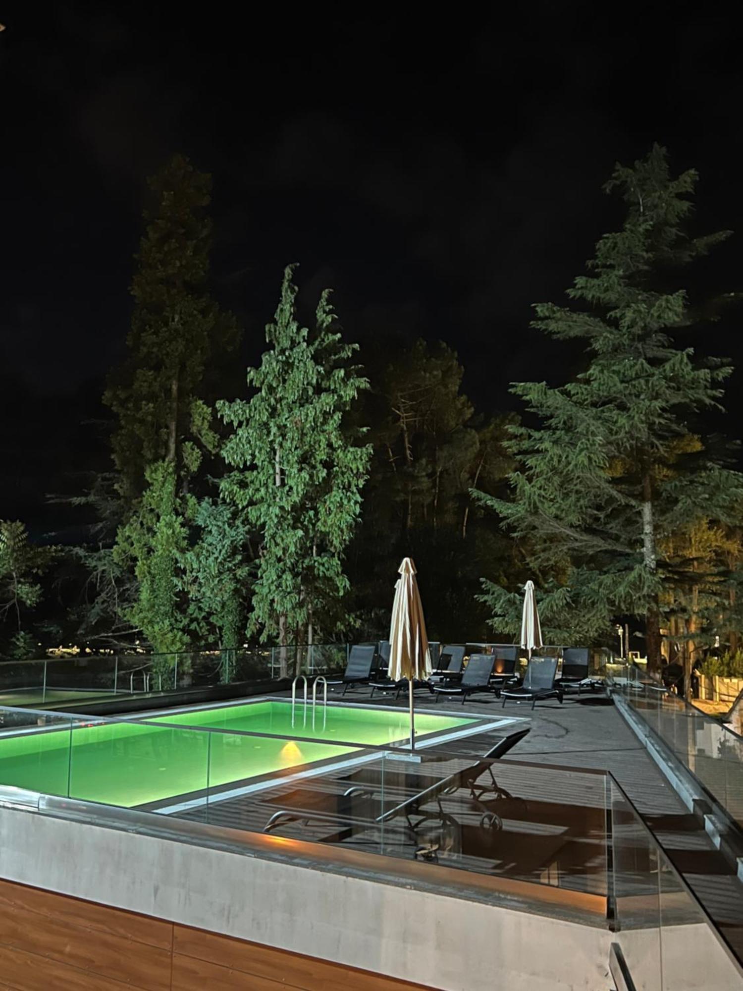 אורקי Ritsa Resort מראה חיצוני תמונה
